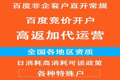 百度推广运营成功故事：品牌与效果的双重胜利